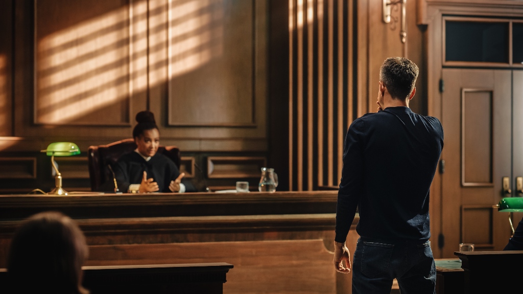 Court of Law and Justice Trial Proceedings